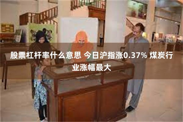 股票杠杆率什么意思 今日沪指涨0.37% 煤炭行业涨幅最大