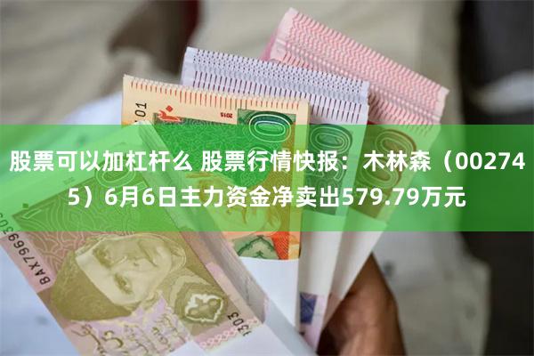 股票可以加杠杆么 股票行情快报：木林森（002745）6月6日主力资金净卖出579.79万元