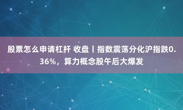 股票怎么申请杠杆 收盘丨指数震荡分化沪指跌0.36%，算力概念股午后大爆发