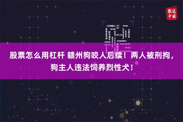 股票怎么用杠杆 赣州狗咬人后续！两人被刑拘，狗主人违法饲养烈性犬！