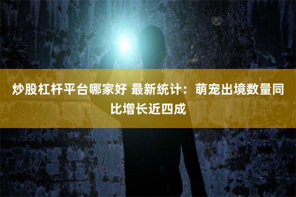 炒股杠杆平台哪家好 最新统计：萌宠出境数量同比增长近四成