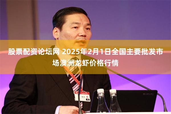 股票配资论坛网 2025年2月1日全国主要批发市场澳洲龙虾价格行情