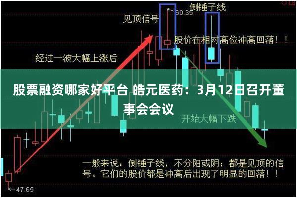 股票融资哪家好平台 皓元医药：3月12日召开董事会会议